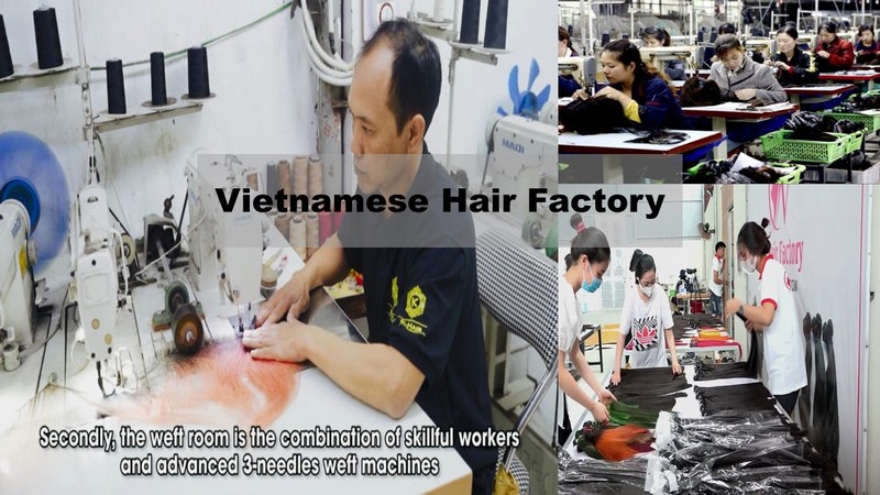 How-to-import-hair-from-Vietnam_7