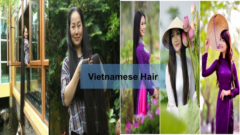 Vietnamese-hair_3