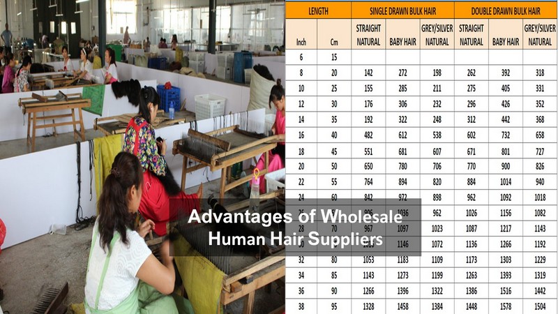 wholesale-human-hair-suppliers_6
