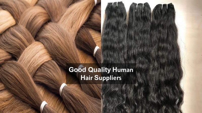 wholesale-human-hair-suppliers_8